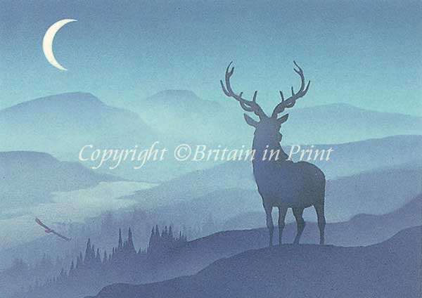 Stag in Moonlight
